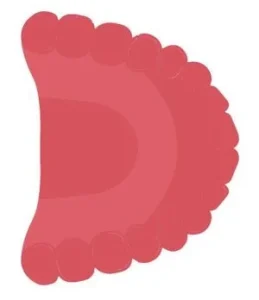 Trường hợp chỉ định trồng răng implant